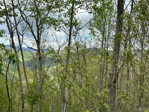 Lot 71 Autumn Blaze Trail Glenville NC 28736