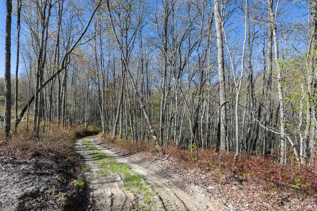 Lot C30 Lodgepole Trail Glenville NC 28736
