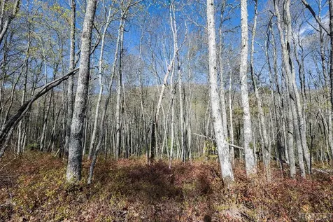 Lot C30 Lodgepole Trail Glenville NC 28736