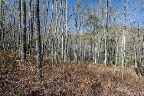Lot C30 Lodgepole Trail Glenville NC 28736