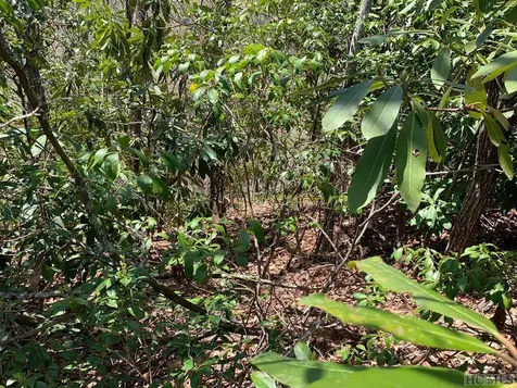 Lot 110 Black Oak Drive Sapphire NC 28774