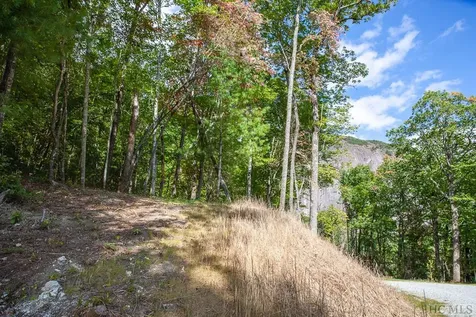 Lot 156 Lonesome Valley Road Sapphire NC 28774