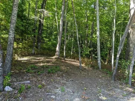 Lot 156 Lonesome Valley Road Sapphire NC 28774