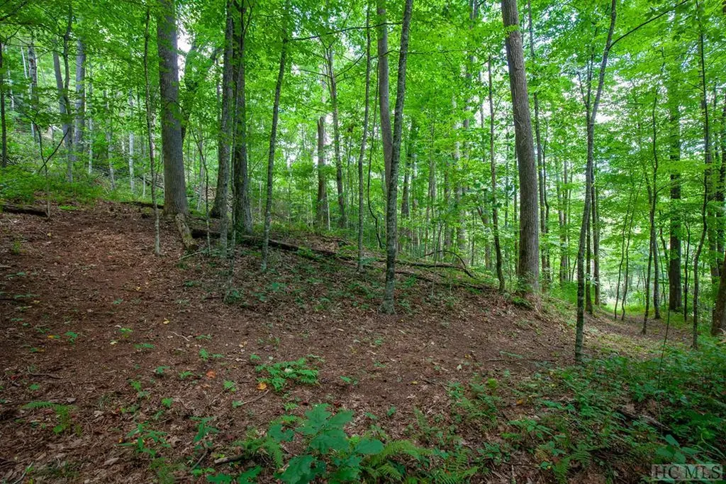 Lot 120 Lonesome Valley Road Sapphire NC 28774