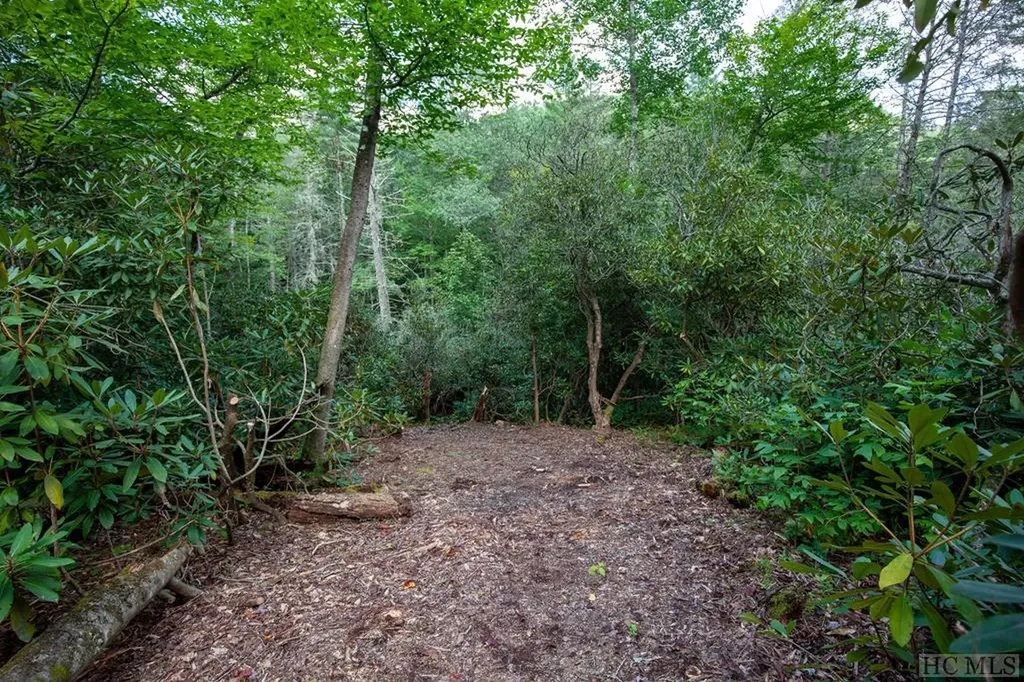 Lot 141 Farmhouse Trail Sapphire NC 28774