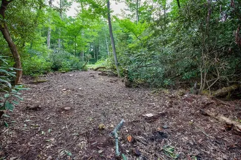 Lot 141 Farmhouse Trail Sapphire NC 28774
