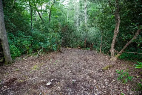 Lot 141 Farmhouse Trail Sapphire NC 28774