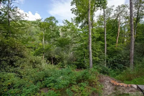 Lot 141 Farmhouse Trail Sapphire NC 28774