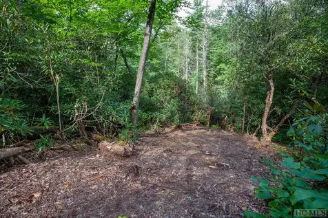 Lot 141 Farmhouse Trail Sapphire NC 28774