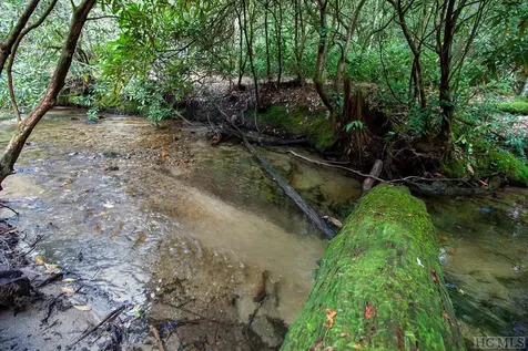 Lot 141 Farmhouse Trail Sapphire NC 28774