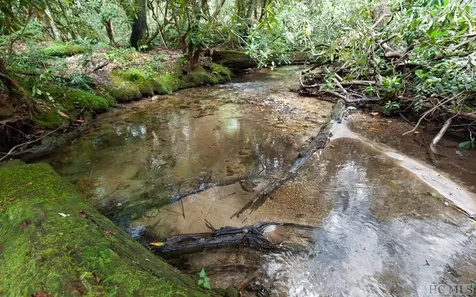 Lot 141 Farmhouse Trail Sapphire NC 28774