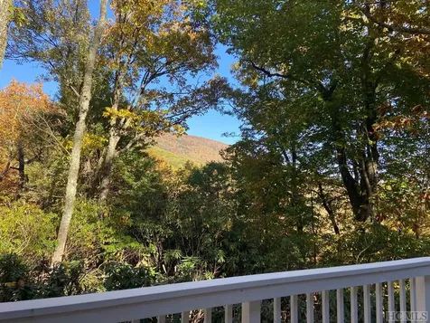 810 Hickory Drive Sapphire NC 28774