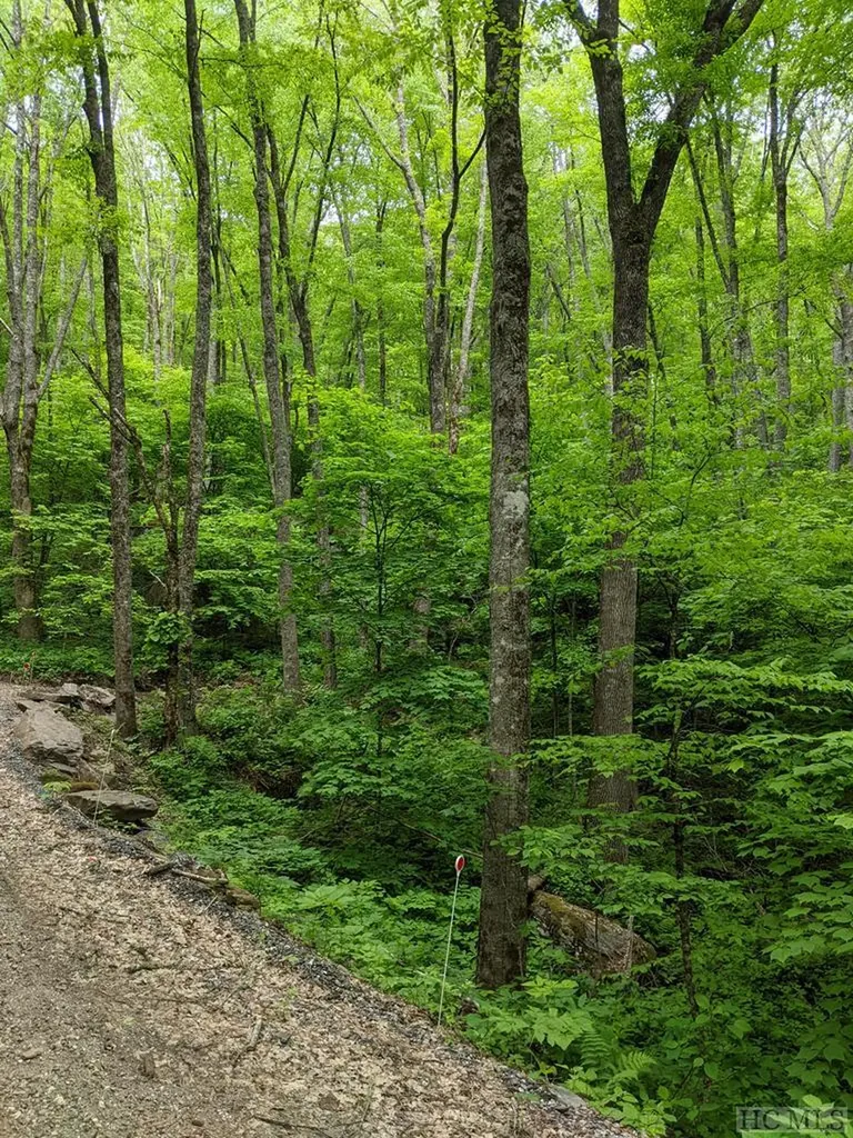 0 Buck Knob Road Cullowhee NC 28723