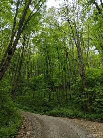 0 Buck Knob Road Cullowhee NC 28723