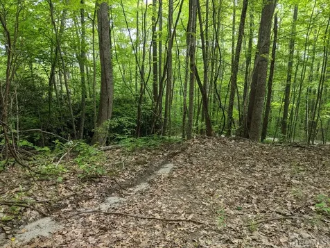 0 Buck Knob Road Cullowhee NC 28723