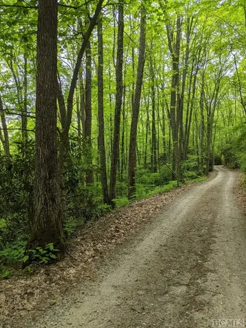 0 Buck Knob Road Cullowhee NC 28723