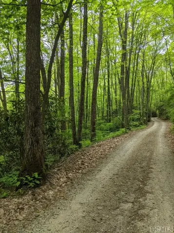 0 Buck Knob Road Cullowhee NC 28723