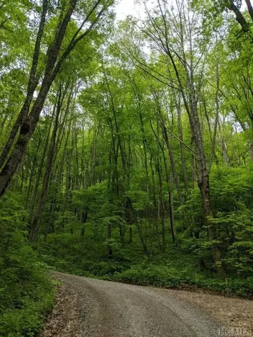 0 Buck Knob Road Cullowhee NC 28723