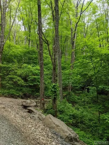 0 Buck Knob Road Cullowhee NC 28723