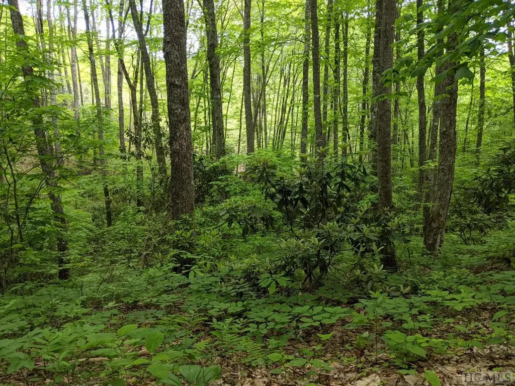 17010 Buck Knob Road Cullowhee NC 28723