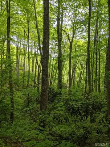 17010 Buck Knob Road Cullowhee NC 28723