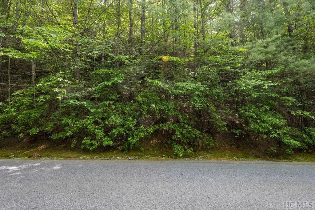 Lot 121 Buckberry Drive Sapphire NC 28774