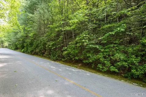 Lot 121 Buckberry Drive Sapphire NC 28774