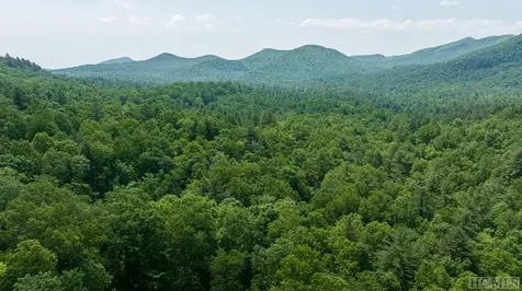 Lot 121 Buckberry Drive Sapphire NC 28774