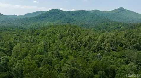 Lot 121 Buckberry Drive Sapphire NC 28774