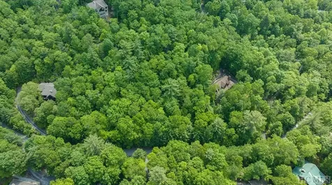 Lot 121 Buckberry Drive Sapphire NC 28774