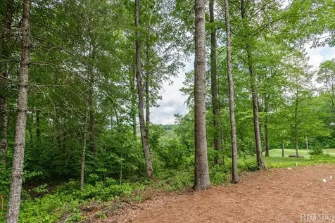 Lot 40 Lilium Lane Cullowhee NC 28723