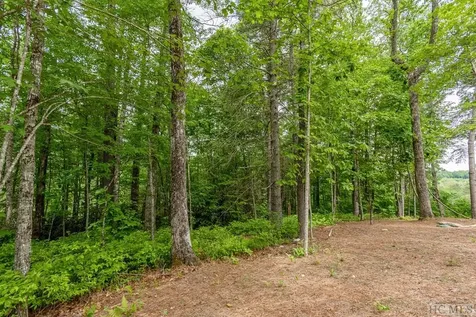 Lot 40 Lilium Lane Cullowhee NC 28723