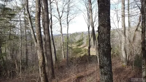 Lot 40 Lilium Lane Cullowhee NC 28723