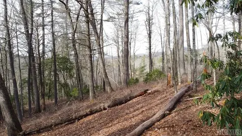 Lot 40 Lilium Lane Cullowhee NC 28723