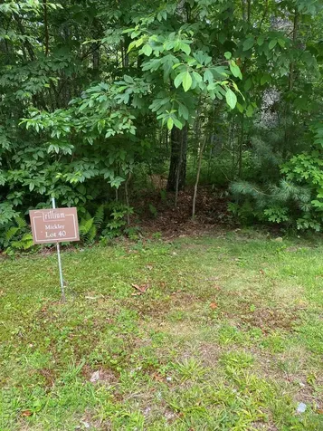 Lot 40 Lilium Lane Cullowhee NC 28723