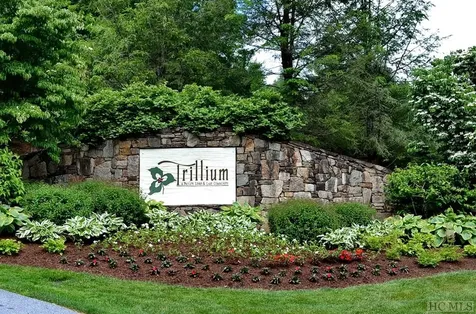Lot 40 Lilium Lane Cullowhee NC 28723