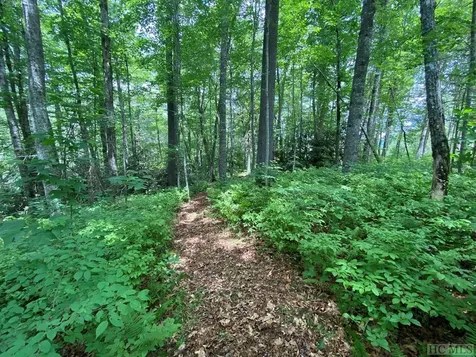 Lot 40 Lilium Lane Cullowhee NC 28723