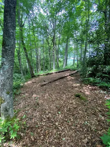 Lot 40 Lilium Lane Cullowhee NC 28723