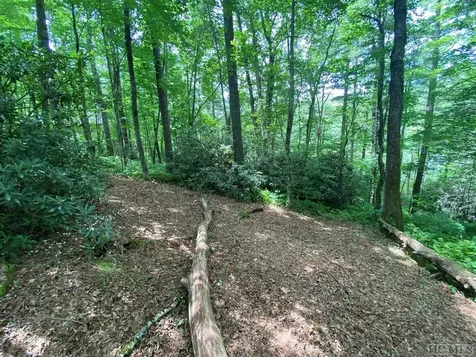 Lot 40 Lilium Lane Cullowhee NC 28723