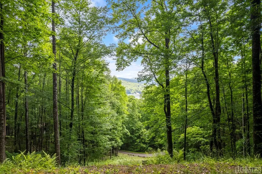 12a Von Trapp Tuckasegee NC 28783