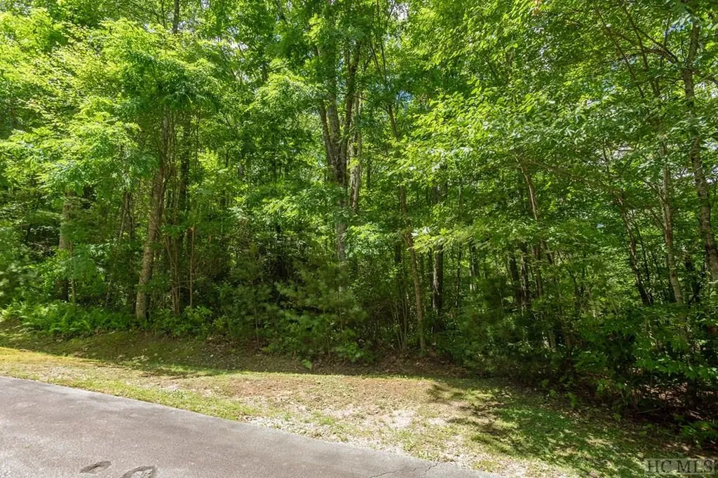 Lot 23 Piney Knob Trail Cullowhee NC 28723