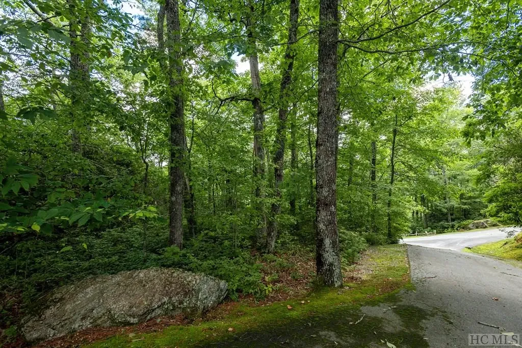Lot 23 Piney Knob Trail Cullowhee NC 28723