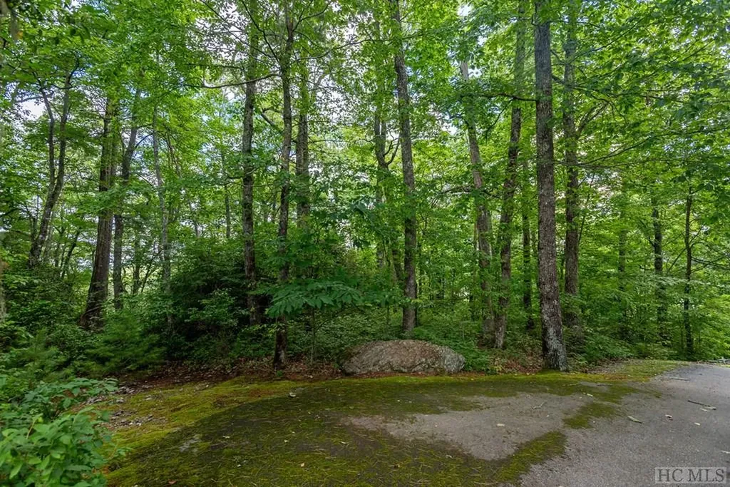 Lot 23 Piney Knob Trail Cullowhee NC 28723