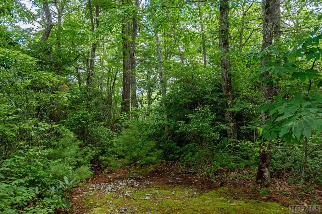 Lot 23 Piney Knob Trail Cullowhee NC 28723