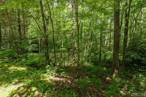 Lot 23 Piney Knob Trail Cullowhee NC 28723
