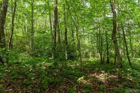 Lot 23 Piney Knob Trail Cullowhee NC 28723