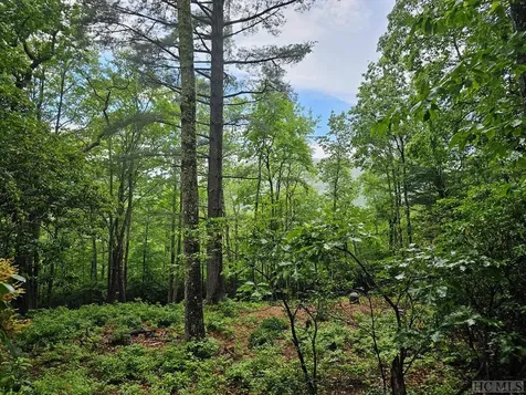 256 S Buckberry Drive Sapphire NC 28774