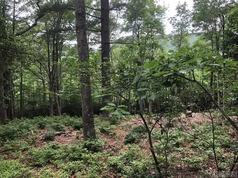 256 S Buckberry Drive Sapphire NC 28774