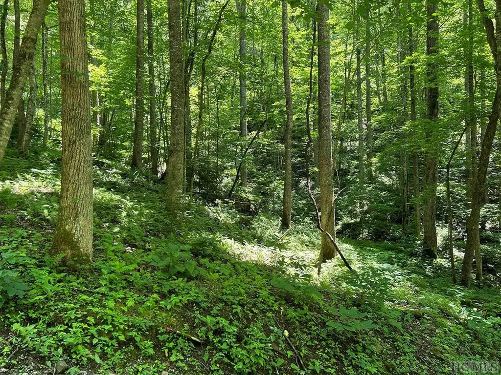Lot 3 Vess Owen Road Tuckasegee NC 28783