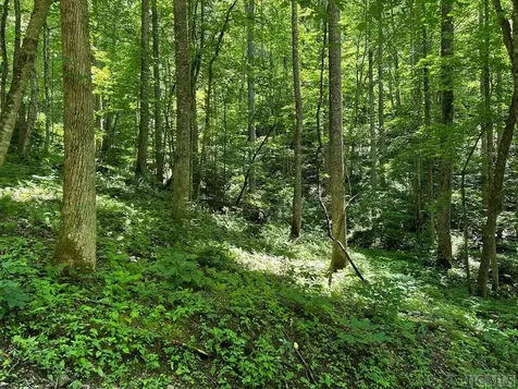 Lot 3 Vess Owen Road Tuckasegee NC 28783